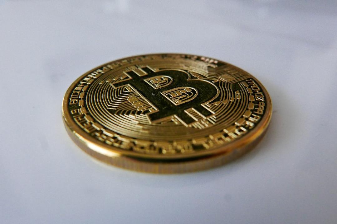 일론 머스크의 슈퍼 앱, 암호화폐 사용 가능성 증가