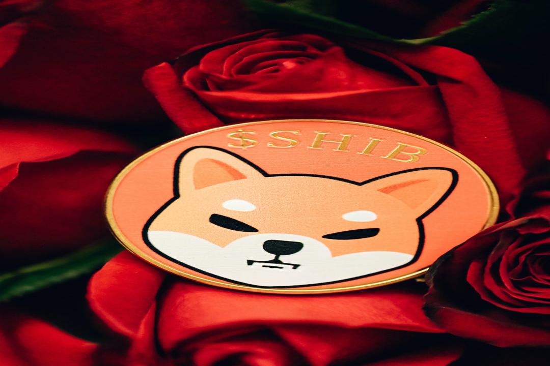 터키 BtcTurk, 4890만 달러 규모의 가상자산 유출 의혹으로 출금 전면 중단